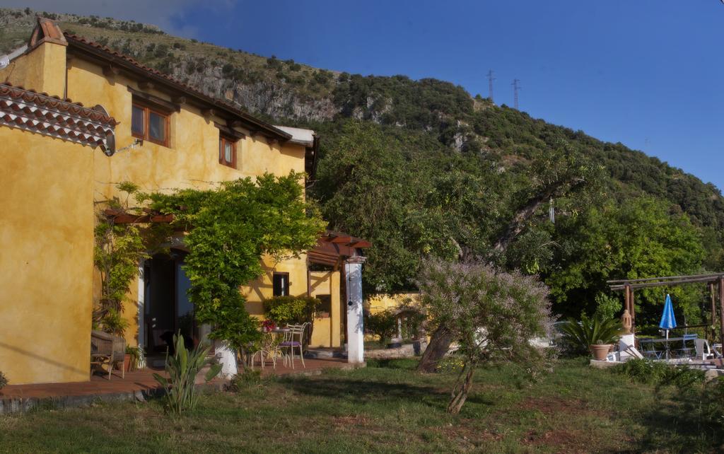 B&B Calandrella Maratea Exterior foto