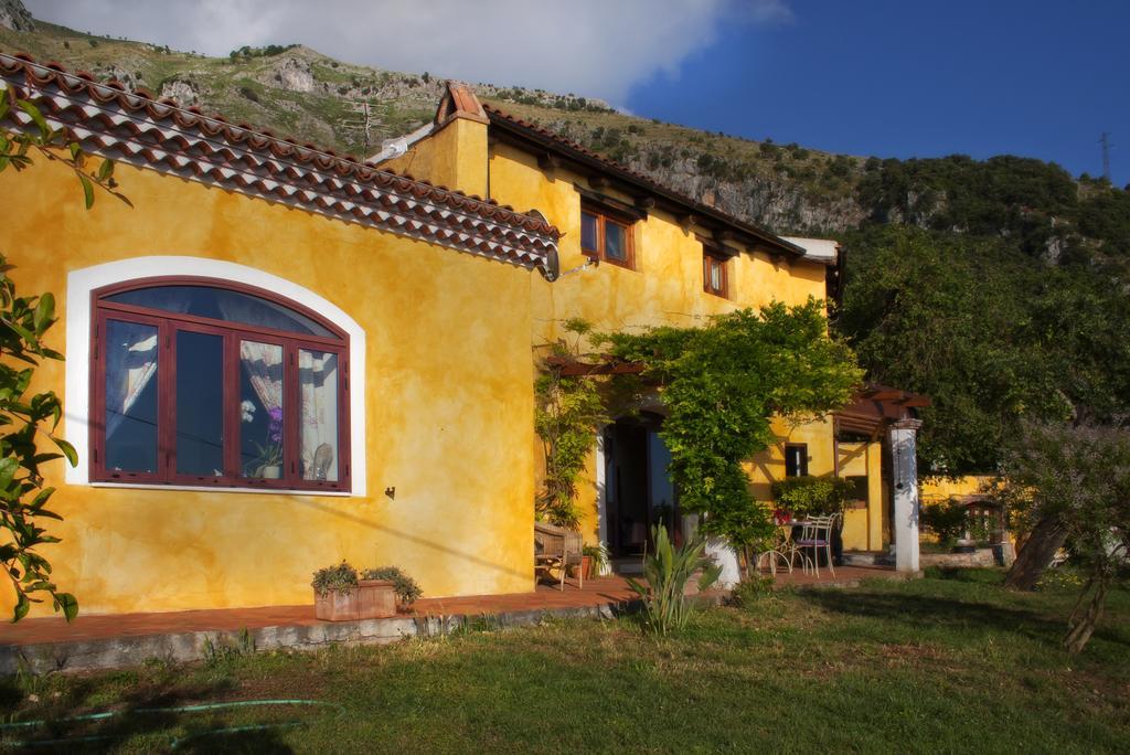 B&B Calandrella Maratea Habitación foto