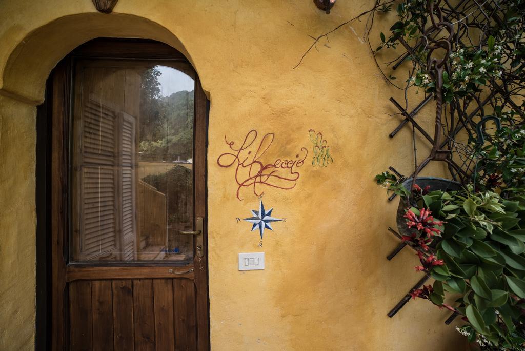 B&B Calandrella Maratea Exterior foto